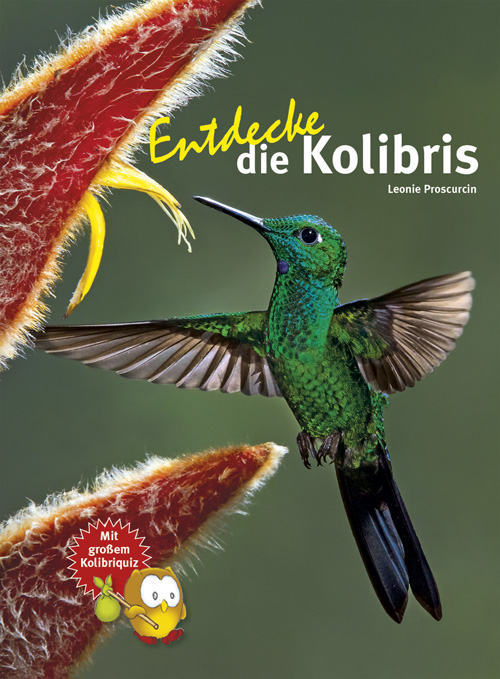 Entdecke die Kolibris