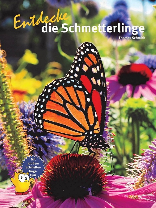 Schmetterlinge Kinderbuch